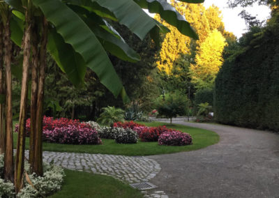 Bananen im Stadtgarten