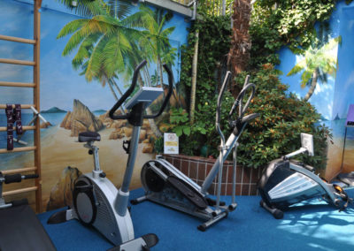 Fitness