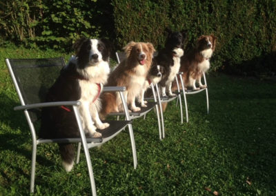 Hundefreundlich