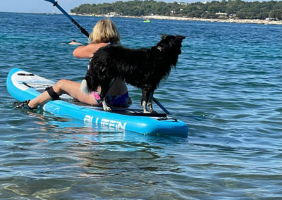 Supboard mit Hund